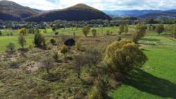 ��������� ������ �����-����������, ���������, ���� ���� 16