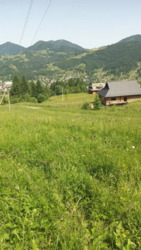 ��������� ������ ���������, �������������, �����-���������� ���� 20