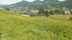 ��������� ������ ���������, �������������, �����-���������� ���� 3