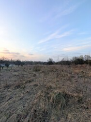 ��������� ������ �������, �����-��������� ����, �����-���������� ���� 3