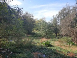 ��������� ������ ��������, ���������, ������������, �����-���������� ���� 2