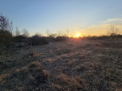 ��������� ������ ��������, �����-��������� ����, �����-���������� ���� 3