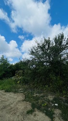 Продається ділянка Довбуша, Підлісся, Івано-Франківські села, Івано-Франківська фото 11 Продається ділянка Довбуша, Підлісся, Івано-Франківські села, Івано-Франківська фото 11
