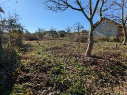 ��������� ������ ���������, �����-��������� ����, �����-���������� ���� 3