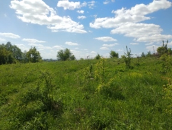 Продається ділянка у с. Підлужжя із виглядом на місто фото 4 Продається ділянка у с. Підлужжя із виглядом на місто фото 4