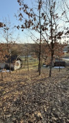 ��������� ������ ��������, ����, ������������, �����-���������� ���� 8