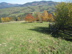 Продається ділянка Замагора, Верховинський, Івано-Франківська фото 20 Продається ділянка Замагора, Верховинський, Івано-Франківська фото 20