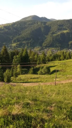 ��������� ������ ���������, �������������, �����-���������� ���� 19