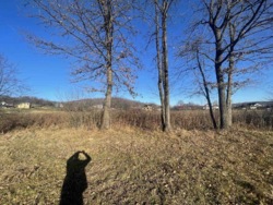 ��������� ������ �������, ���������, �����-���������� ���� 5