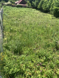 ��������� ������ ����, ������������, �����-���������� ���� 4