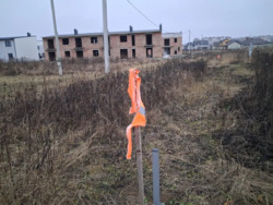 ��������� ������ ������, ��������, �����-��������� ����, �����-���������� ���� 5