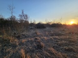 ��������� ������ ��������, �����-��������� ����, �����-���������� ���� 4