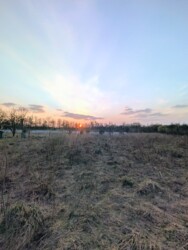 ��������� ������ �������, �����-��������� ����, �����-���������� ���� 4