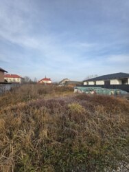 ��������� ������ �����-����������, ������������, �������, ������� ���� 5