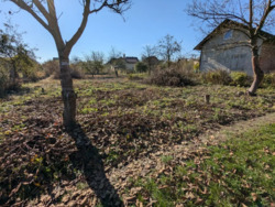 ��������� ������ ���������, �����-��������� ����, �����-���������� ���� 1