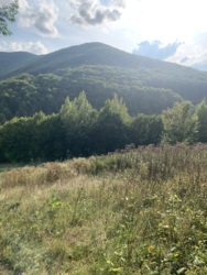 ��������� ������ ������, ������, �����-���������� ���� 6