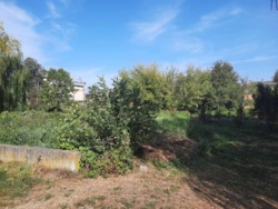 ��������� ������ ��������, ���������, ������������, �����-���������� ���� 3