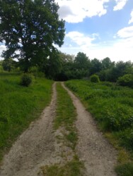 Продається ділянка у с. Підлужжя із виглядом на місто фото 5 Продається ділянка у с. Підлужжя із виглядом на місто фото 5