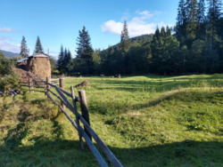 ��������� ������ ��������, �������������, �����-���������� ���� 3