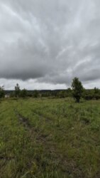 Продається ділянка урочище 'За плотами', Рибне, Тисменецький, Івано-Франківська фото 24 Продається ділянка урочище 'За плотами', Рибне, Тисменецький, Івано-Франківська фото 24