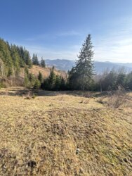 ��������� ������ ���������, �������������, �����-���������� ���� 7