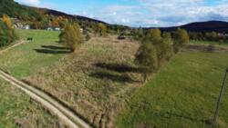 ��������� ������ �����-����������, ���������, ���� ���� 10