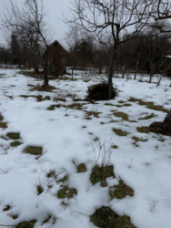 ��������� ������ �����-���������, �����-����������, ����� ���� 1