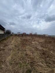 ��������� ������ ������� (����), ����, ������������, �����-���������� ���� 5