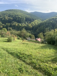 ��������� ������ ������, ������, �����-���������� ���� 8