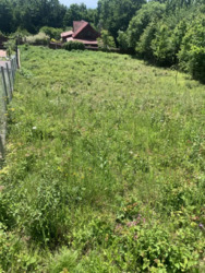 ��������� ������ ����, ������������, �����-���������� ���� 5