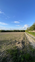 Продається ділянка Івано-Франківська, Тисменецький, Угринів фото 3 Продається ділянка Івано-Франківська, Тисменецький, Угринів фото 3