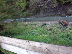 ��������� ������ ��������, �������������, �����-���������� ���� 6