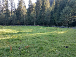 ��������� ������ ��������, �������������, �����-���������� ���� 8