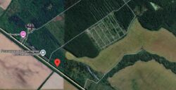 ��������� ������ �����������, ���������������, �����-���������� ���� 2