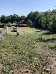 ��������� ������ ����, ������������, �����-���������� ���� 10