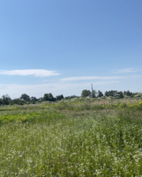 Продається ділянка Вивізна, Крихівці, Івано-Франківські села, Івано-Франківська фото 5 Продається ділянка Вивізна, Крихівці, Івано-Франківські села, Івано-Франківська фото 5
