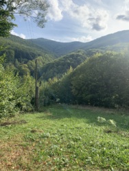 ��������� ������ ������, ������, �����-���������� ���� 1