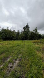 Продається ділянка урочище 'За плотами', Рибне, Тисменецький, Івано-Франківська фото 22 Продається ділянка урочище 'За плотами', Рибне, Тисменецький, Івано-Франківська фото 22