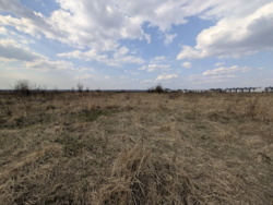 ��������� ������ ������� ���, ��������, �����-��������� ����, �����-���������� ���� 8