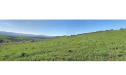 Продається ділянка Ластівці, Богородчанський, Івано-Франківська фото 2 Продається ділянка Ластівці, Богородчанський, Івано-Франківська фото 2