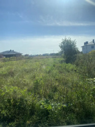 ��������� ������ ������, ��������, �����-��������� ����, �����-���������� ���� 3