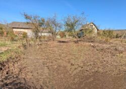 ��������� ������ ���������, �����-��������� ����, �����-���������� ���� 7