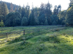 ��������� ������ ��������, �������������, �����-���������� ���� 7