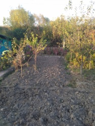 ��������� ������ ��� ĳ�����, ��������, ������������, �����-���������� ���� 4