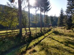 ��������� ������ ��������, �������������, �����-���������� ���� 5