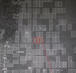 Продам три земельні ділянки по 15 соток в Підгайцях фото 1 Продам три земельні ділянки по 15 соток в Підгайцях фото 1