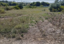 Продам участок с. Черняховка фото 3 Продам участок с. Черняховка фото 3