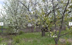 ������ ������ ������� �� ���������� � ����������� ���� 2