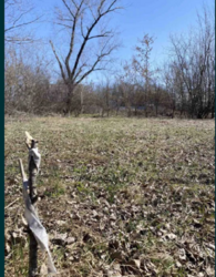 Продам участок под строительство в районе ГОР САД в Кропивницком фото 3 Продам участок под строительство в районе ГОР САД в Кропивницком фото 3