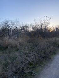 Продам участок пос. Горный фото 7 Продам участок пос. Горный фото 7